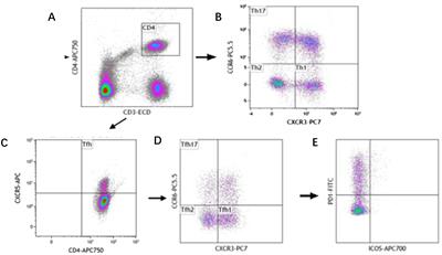 Clinical significance of T helper cell subsets in the peripheral blood and bone marrow of patients with multiple myeloma